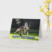 Carte d'anniversaire pour chien de collier frontal (Fleur jaune)