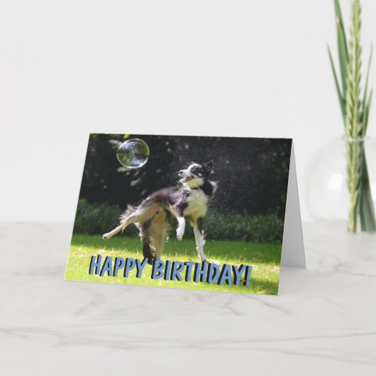 Carte d'anniversaire pour chien de collier frontal (Devant)