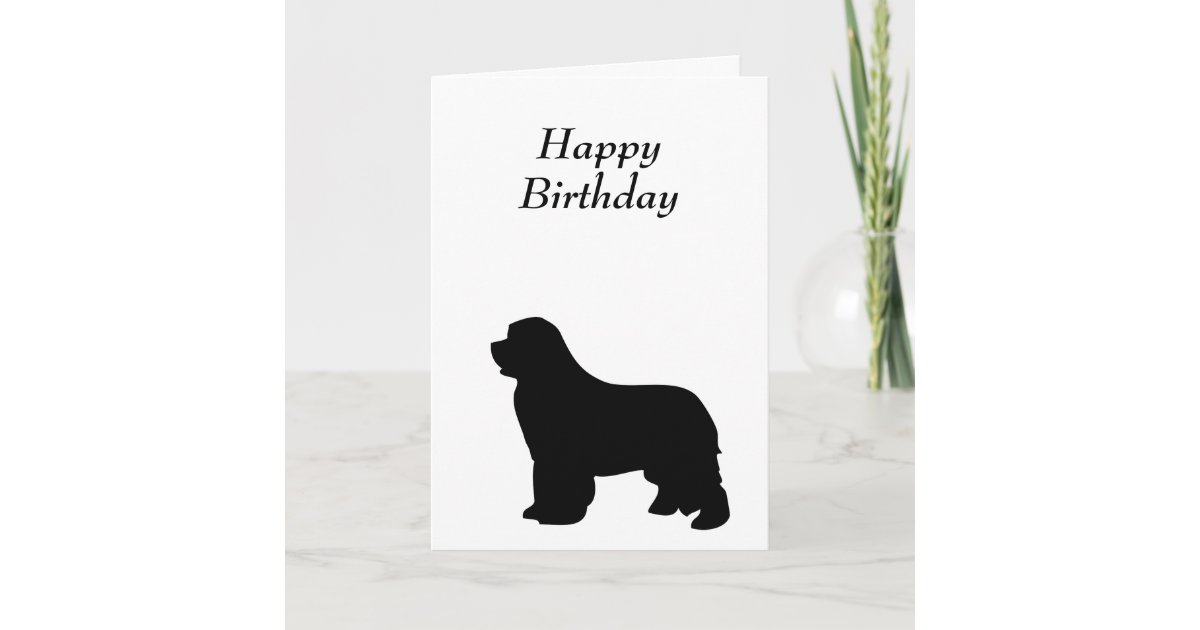 Carte D Anniversaire Pour Chien De Terre Neuve Si Zazzle Be