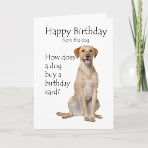 Carte d'anniversaire pour Labrador Retriever Jaune
