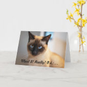 Carte d'anniversaire pour les amateurs de chats gr (Fleur jaune)