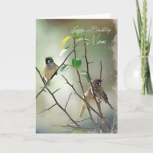 Carte d'anniversaire pour les oiseaux de trois cha (Devant)