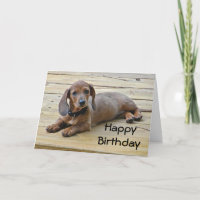 Carte d'anniversaire pour marionnettistes BW-Dachs