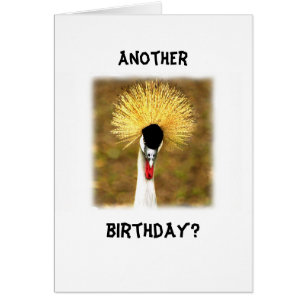 Carte d'anniversaire pour senior ? Encore un anniv
