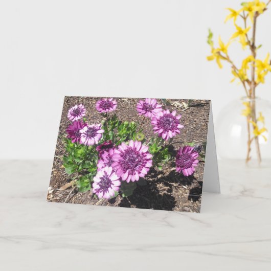 Carte d'anniversaire pourpre de passion (Fleur jaune)