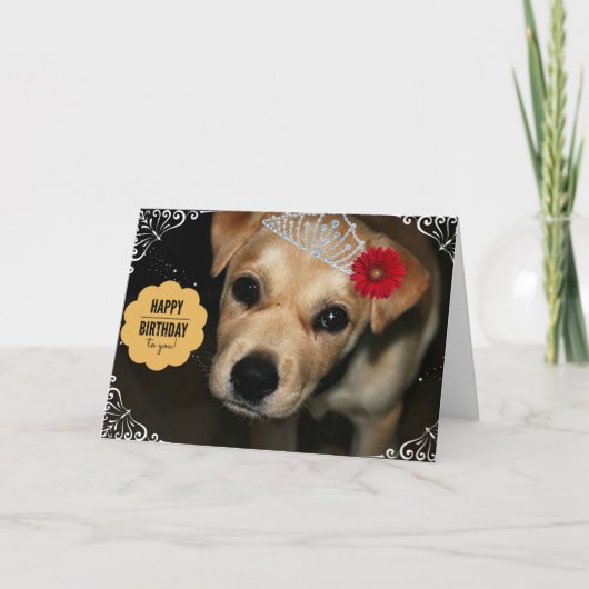 Carte d'anniversaire Princess Puppy (Devant)