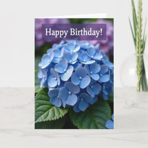Carte d'anniversaire Purple Haze
