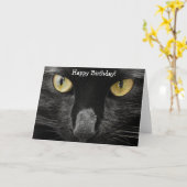 Carte d'anniversaire : Quel chat ! Quel regard ! (Fleur jaune)