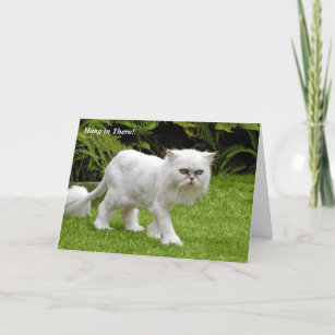 Cartes De Vœux Chat Triste Zazzle Be