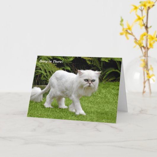 Carte d'anniversaire rasée par Persan blanc (Fleur jaune)