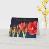 Carte d'anniversaire Red Gladiolus (Fleur jaune)