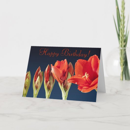 Carte d'anniversaire Red Gladiolus (Devant)