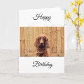Carte d'anniversaire Red Setter irlandaise (Fleur jaune)