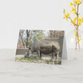 Carte d'anniversaire Rhino (Fleur jaune)