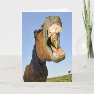 Carte d'anniversaire riante de cheval