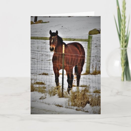 Carte d'anniversaire "Ride Away" (Devant)