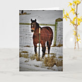 Carte d'anniversaire "Ride Away" (Fleur jaune)