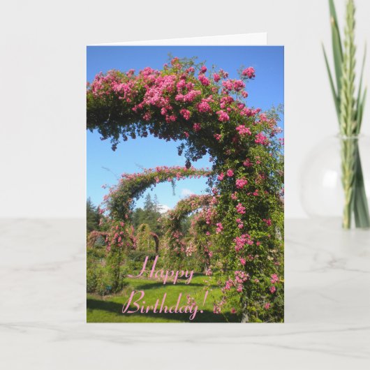 Carte d'anniversaire rose Garden (Devant)