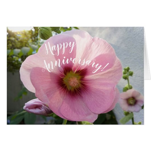 Carte d'anniversaire rose Hollyhock (Devant horizontal)