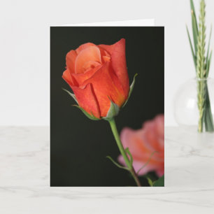 Carte d'anniversaire Rose romantique