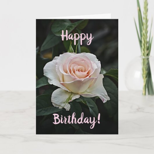Carte d'anniversaire Rose rose (Devant)