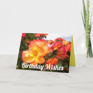 Carte d'Anniversaire Rose Rouge Jaune Orange Rose