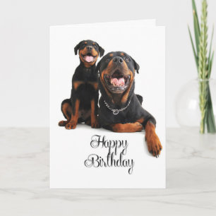 Carte d'anniversaire Rottie