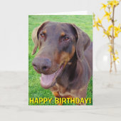 Carte d'anniversaire rouge de sourire de dobermann (Fleur jaune)
