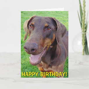 Carte d'anniversaire rouge de sourire de dobermann