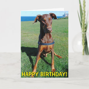 Carte d'anniversaire rouge mignonne de dobermann