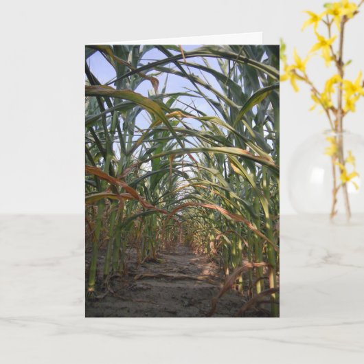 Carte d'anniversaire "Rows of Corn" (Fleur jaune)