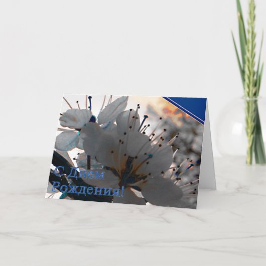 Carte d'anniversaire russe avec fleurs de cerisier (Devant)