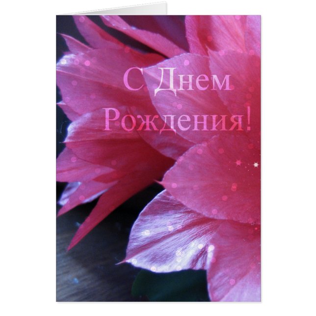 Carte d'anniversaire russe, Schlumbergera (Devant)