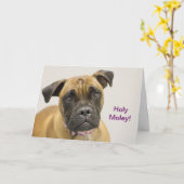 Carte d'anniversaire sainte de boxeur de Moley (Fleur jaune)