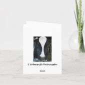 Carte d'anniversaire sainte de vache (Dos)