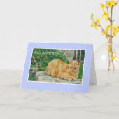 Carte d'anniversaire, salutation portugaise, chat (Fleur jaune)