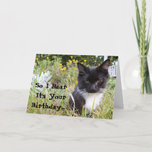 Carte d'anniversaire Sarcastique Tuxedo Kitten