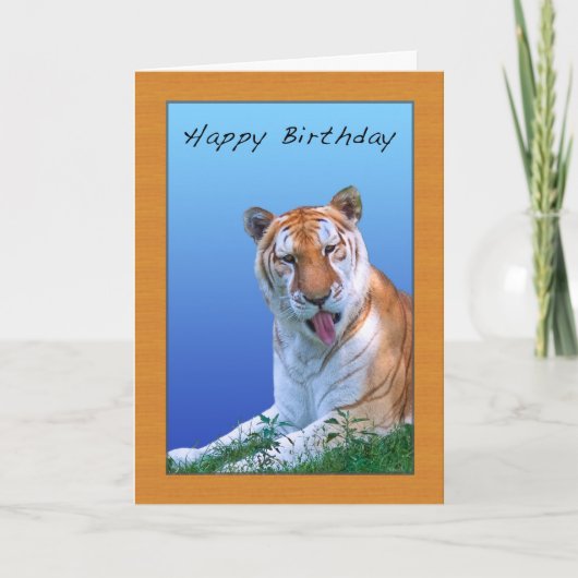 Carte d'anniversaire Sassy Tiger (Devant)