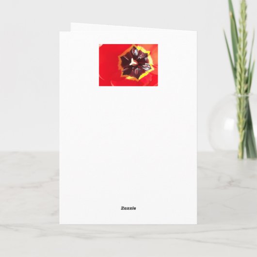 Carte d'anniversaire Scarlet Red Tulip (Dos)