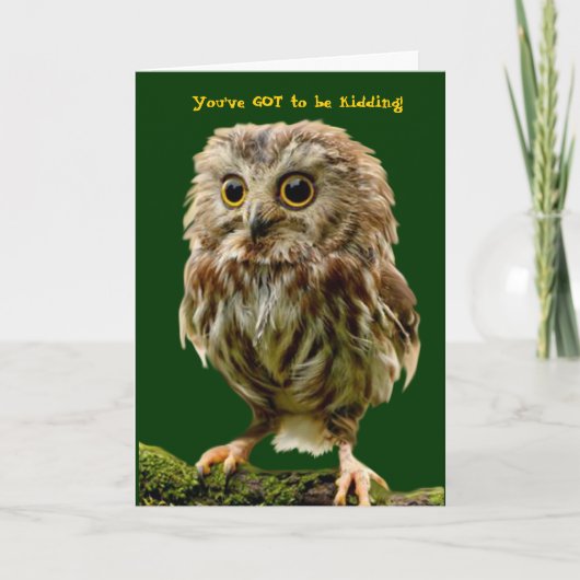 Carte d'anniversaire Scruffy Owl (Devant)