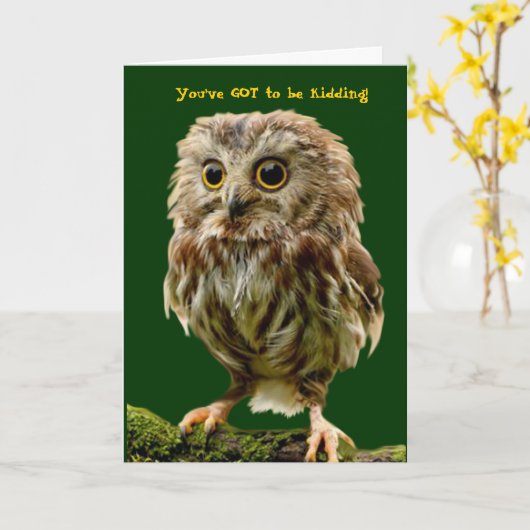 Carte d'anniversaire Scruffy Owl (Fleur jaune)