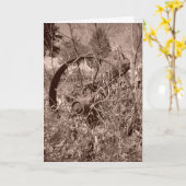 Carte d'anniversaire "Sepia Wagon Wheel #2" (Fleur jaune)