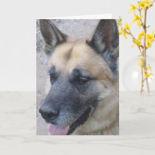 Carte d'anniversaire Shepard allemande (Fleur jaune)