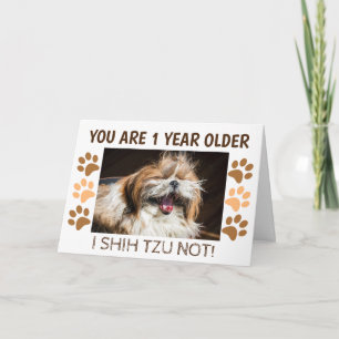 Carte d'anniversaire Shih tzu pas drôle 1 an de pl