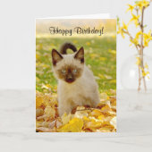 Carte d'anniversaire Siamoise-x de chaton (Fleur jaune)