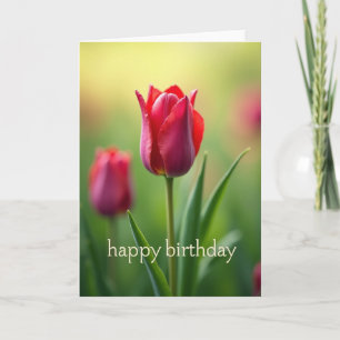 Carte d'anniversaire Silken Sheen