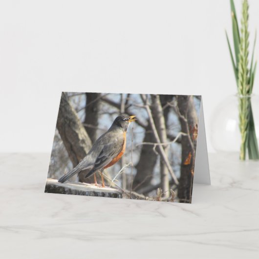Carte d'anniversaire "Singing Lakeside Robin" (Devant)