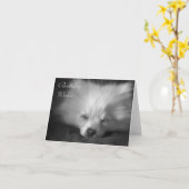 Carte d'anniversaire somnolante de Pomeranian (Fleur jaune)