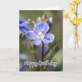 Carte d'anniversaire - speedwell de maïs - (Fleur jaune)