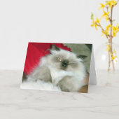 Carte d'anniversaire Squinty Himmy (Fleur jaune)